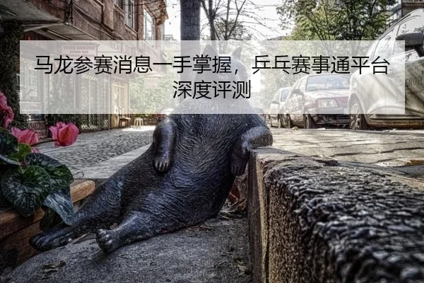 马龙参赛消息一手掌握，乒乓赛事通平台深度评测